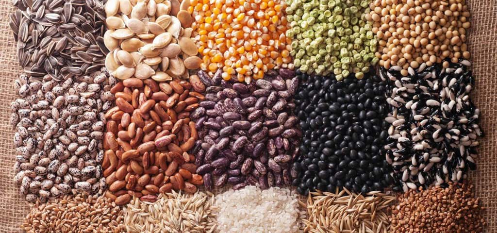 SKIOLD cereales y legumbres