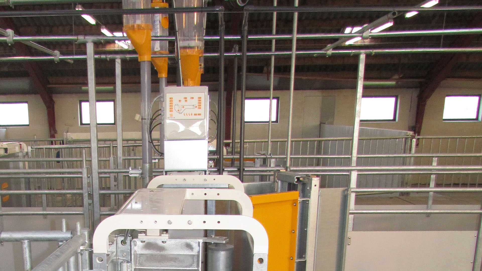 Control electrónico de alimentación de cerdas | SKIOLD