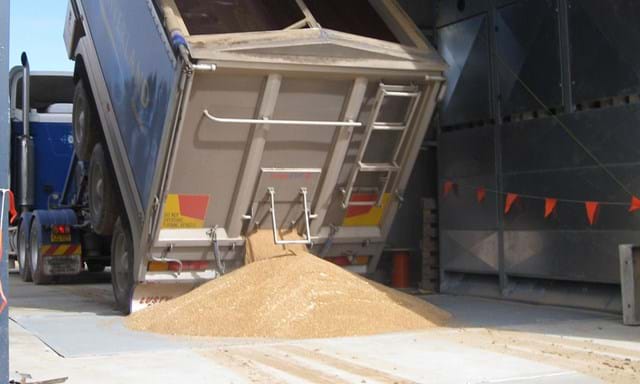 Entrada de granos | SKIOLD