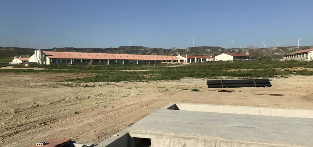 Proyecto de granja porcina SKIOLD con alimentación electrónica de cerdas - España