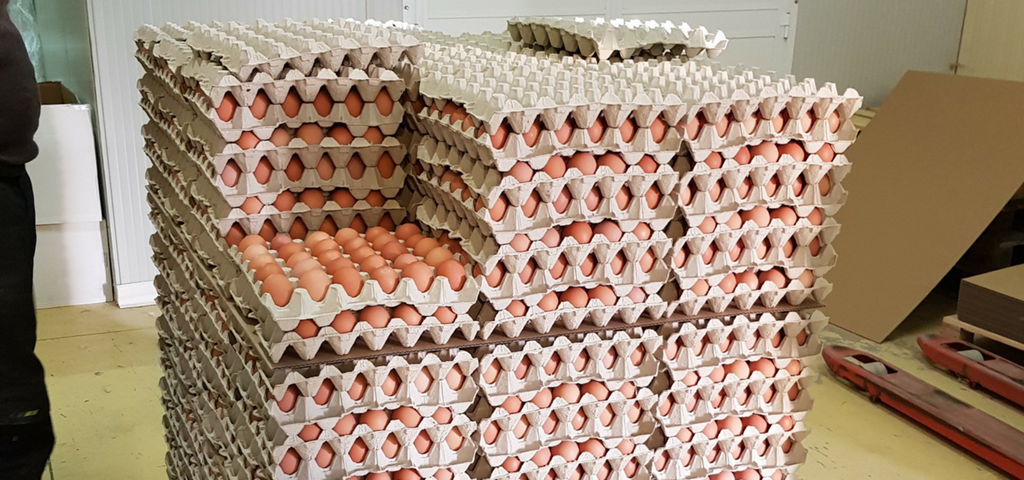 SKIOLD Fábrica de piensos para aves, Francia