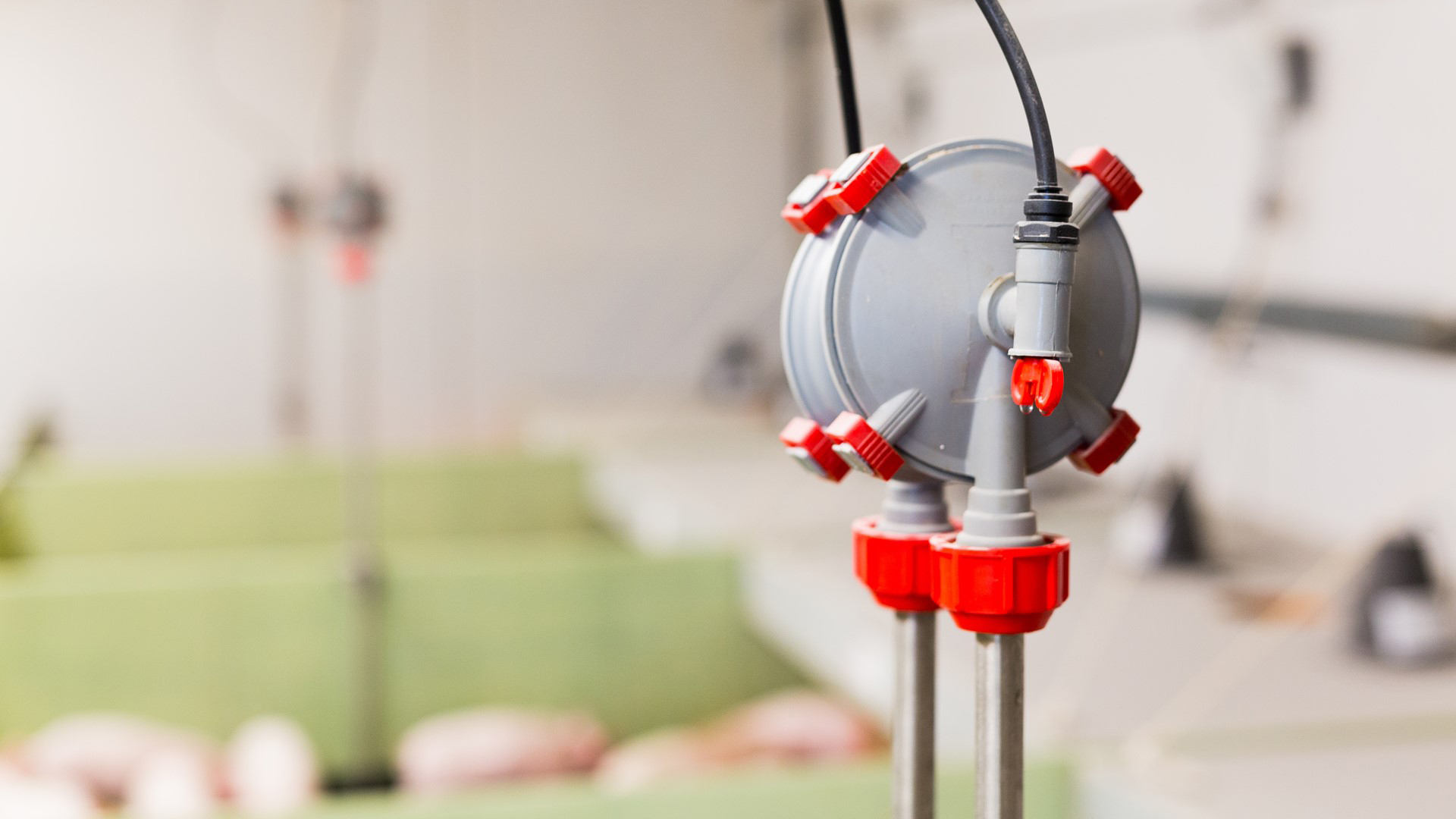 Bebedero para cerdos Aqua Level | SKIOLD 