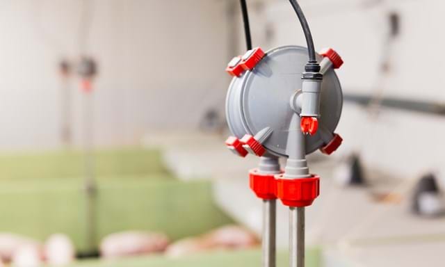 Bebedero para cerdos Aqua Level | SKIOLD