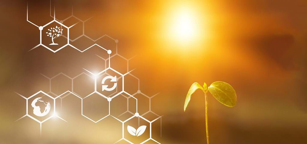 SKIOLD Tierra sostenible del futuro