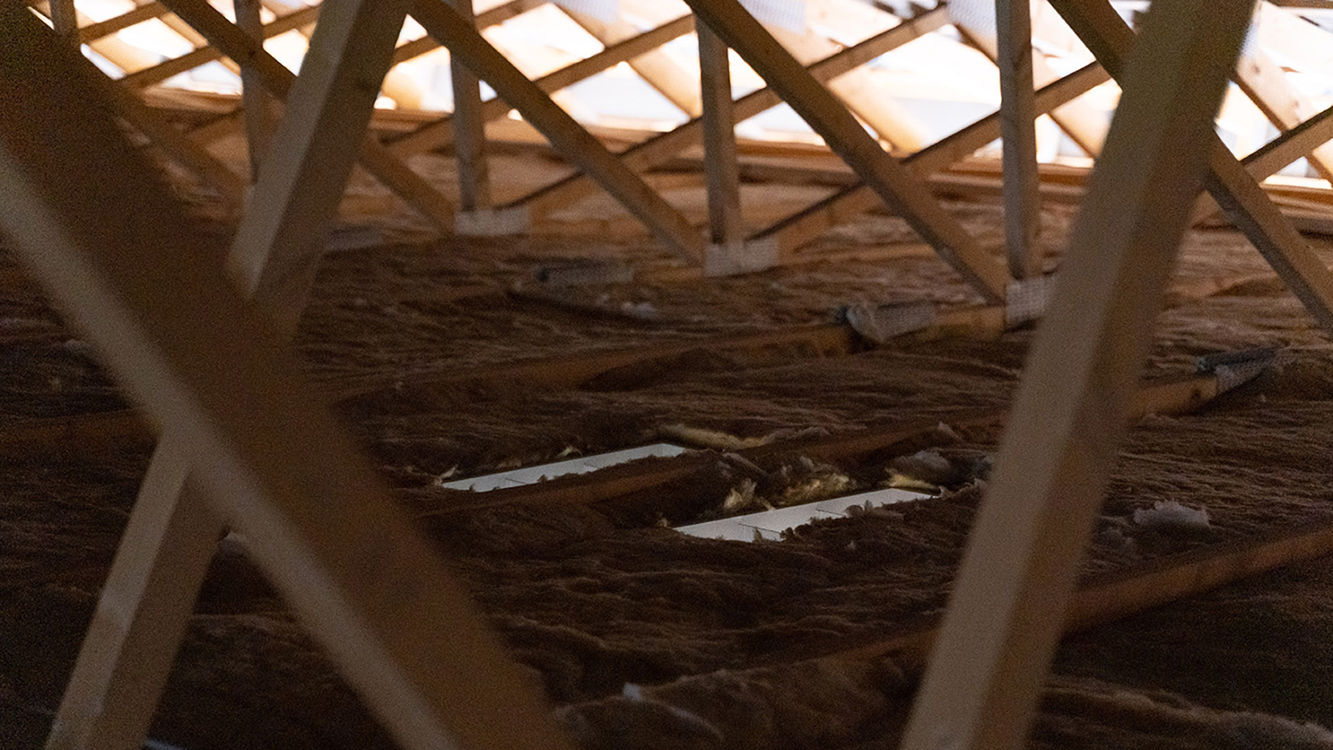 Toma de aire difusa | Ventilación en granjas cerdos | SKIOLD 